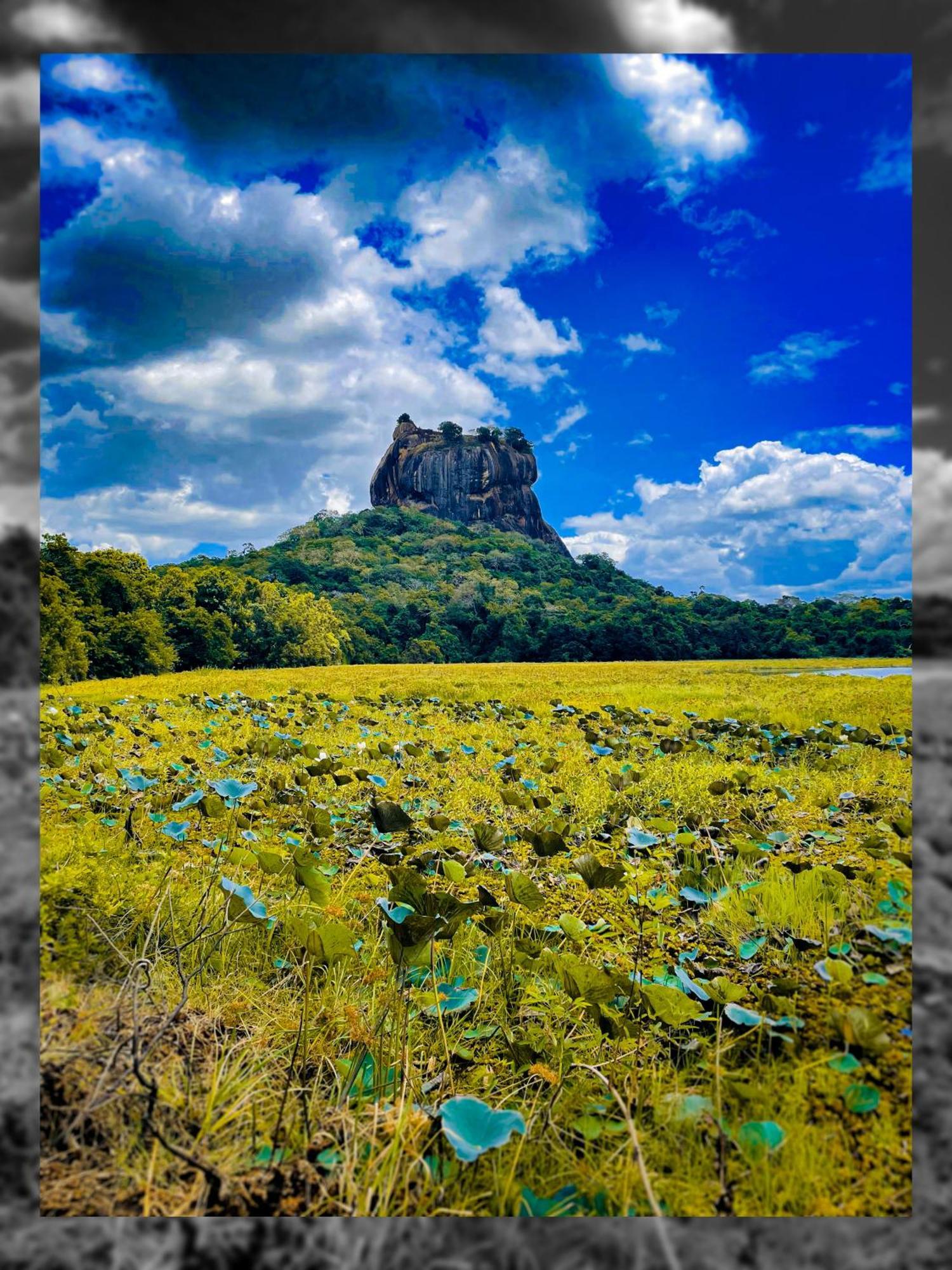 The Lotus Villa Sigiriya Exterior foto